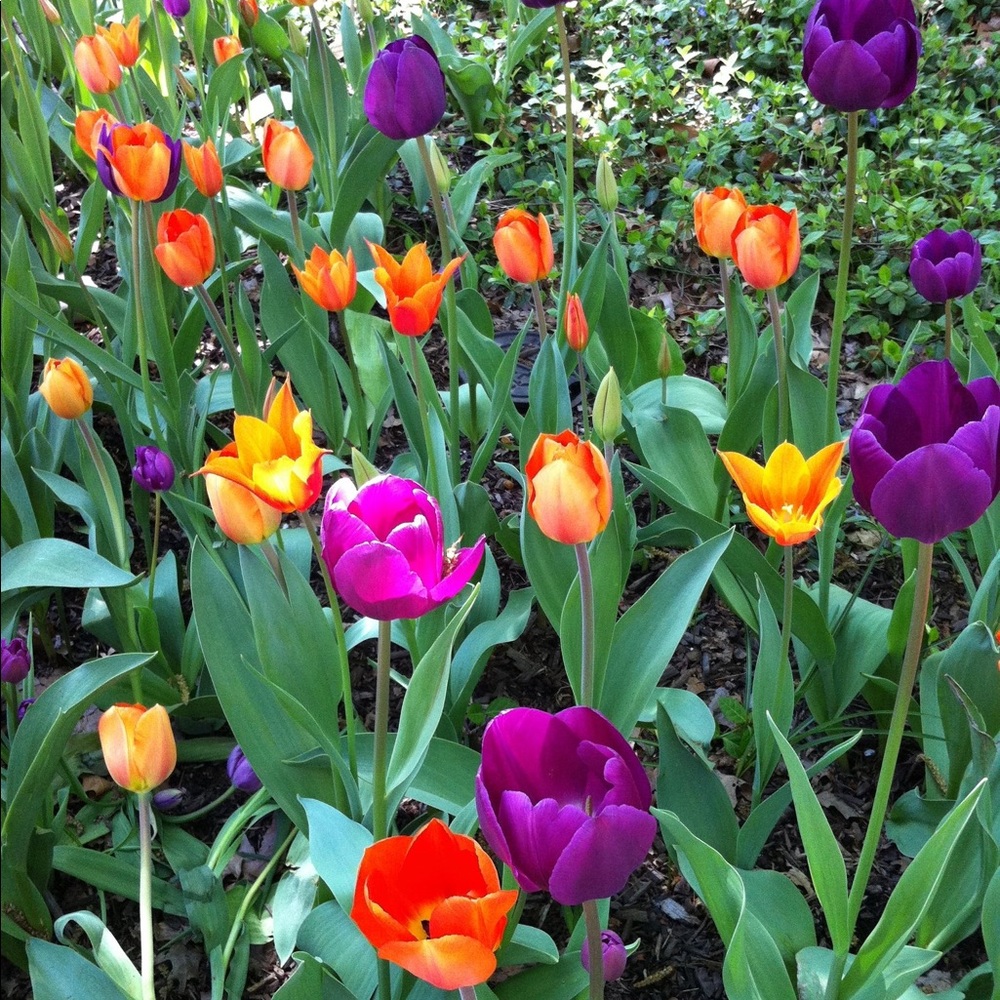 Meet your Posher, Arielle